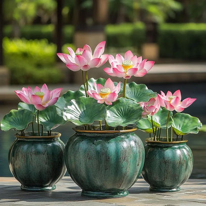 Bonsai Lotus Flower Seeds