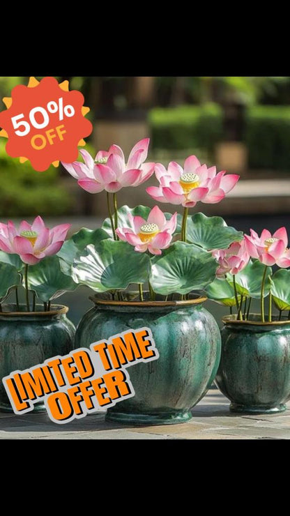 Bonsai Lotus Flower Seeds
